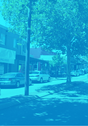 A photo of a tree-lined street with parked cars.